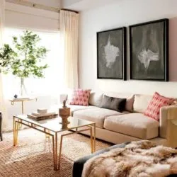 bargain-buys-for-your-home