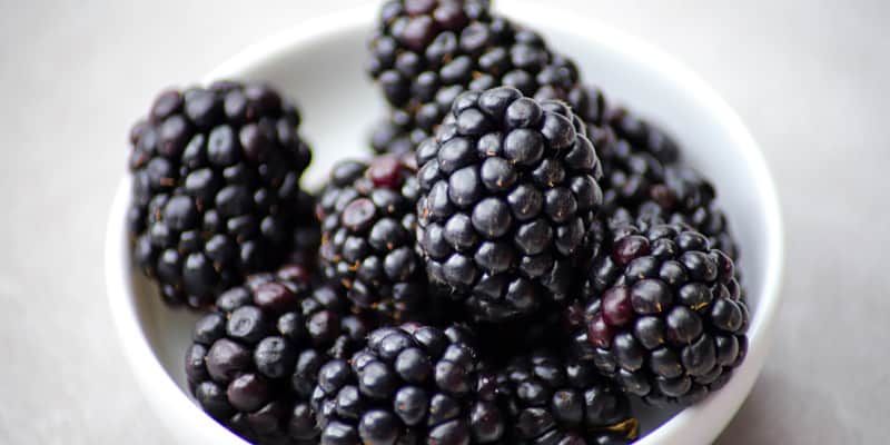 Immune support blackcurrant flavour