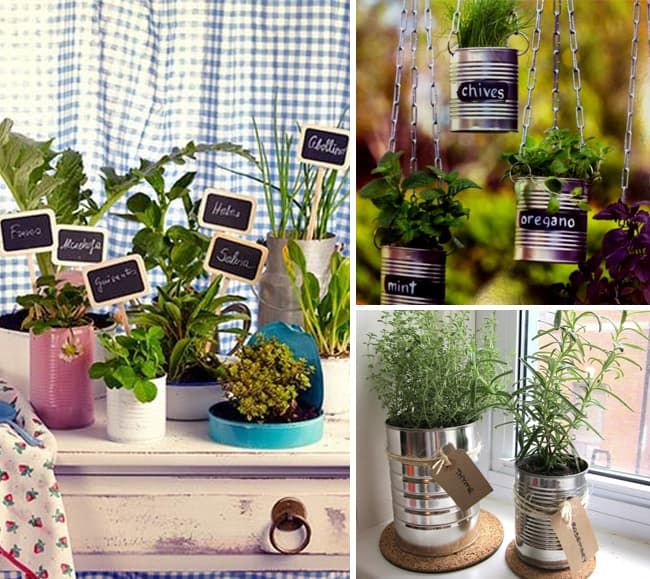 Diy Tin Can Herb Garden Swiish Blog 5756