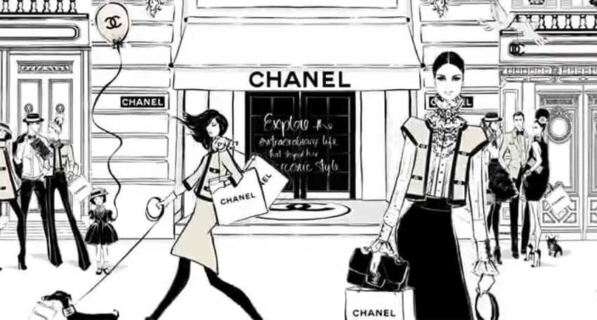 Coco Chanel The Illustrated World Of A Fashion Icon DarlingDiamondDecor   svrtravelsindiacom
